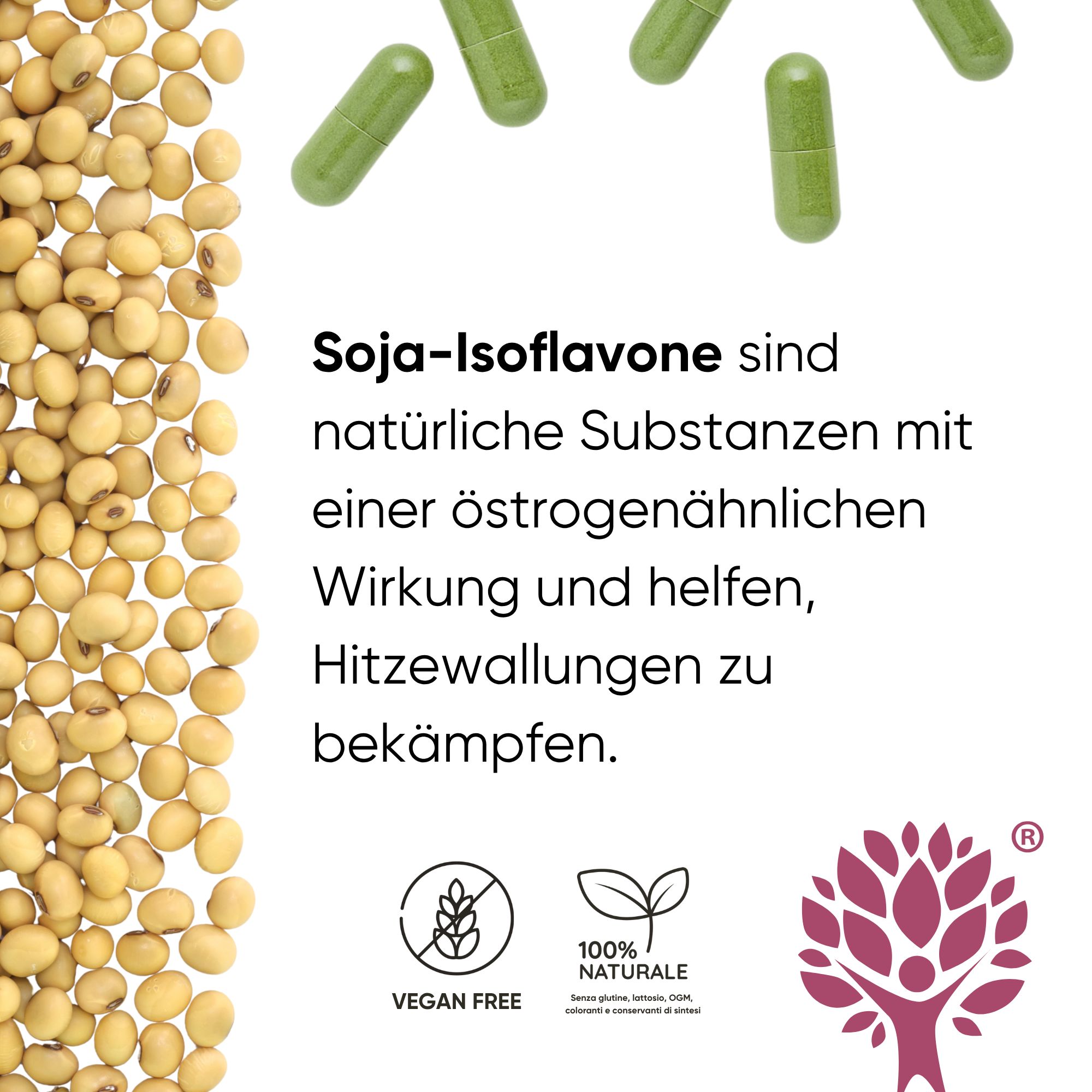 RedMoringa CIMICIFUGA, Soja-Isoflavone, Vitamine & Bio Moringa 360 Kapseln