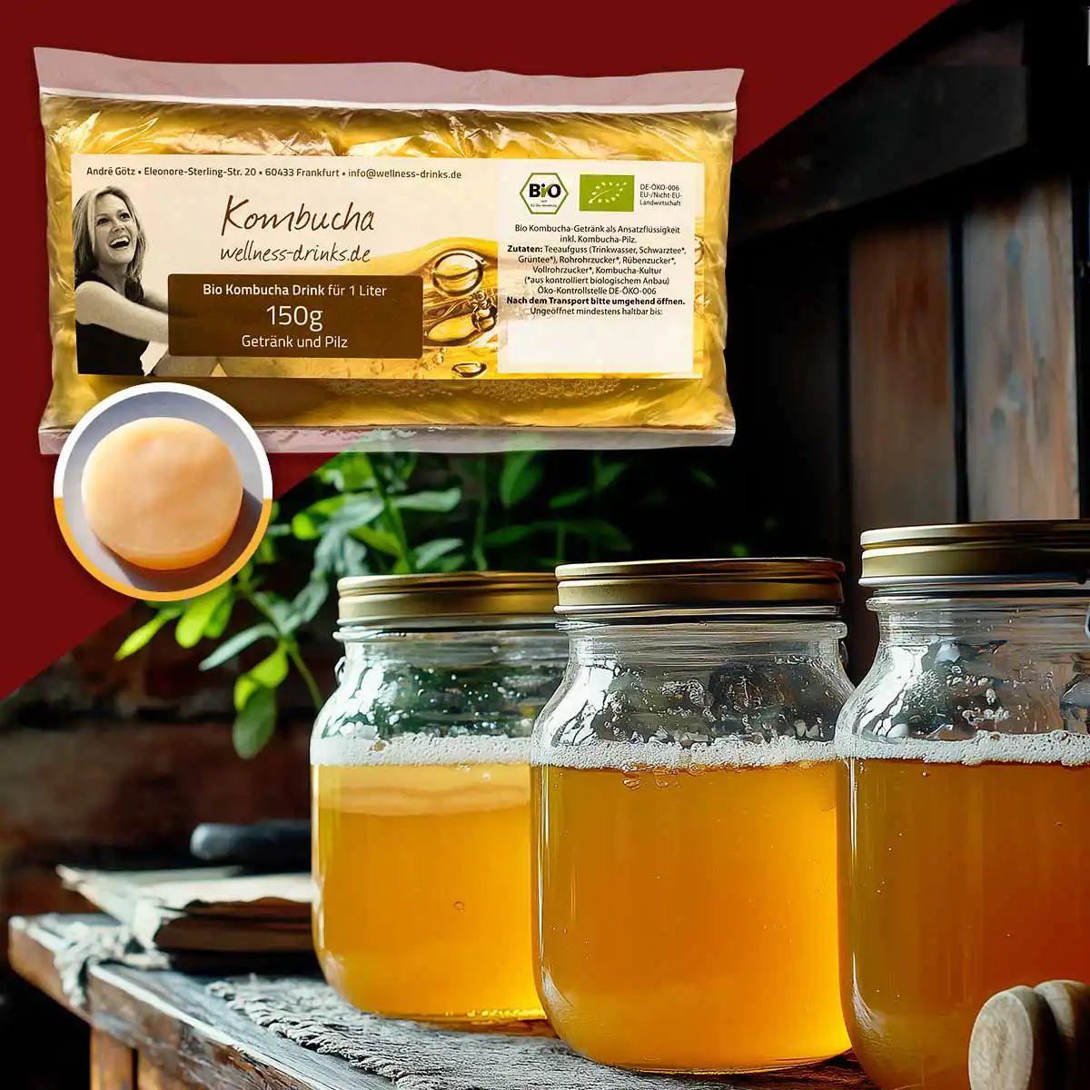 WELLNESS-DRINKS Bio-Kombucha mit lebendem Kombucha-Pilz (SCOBY)