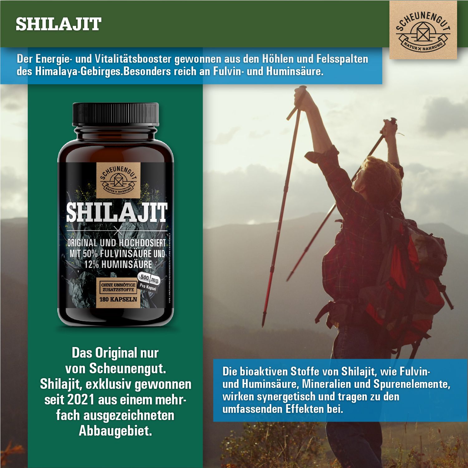 Produktabbildung mit Flasche Shilajit-Kapseln und Landschaft. Text: Shilajit, Original, 50% Fulvinsäure, 12% Huminsäure, 180 Kapseln.