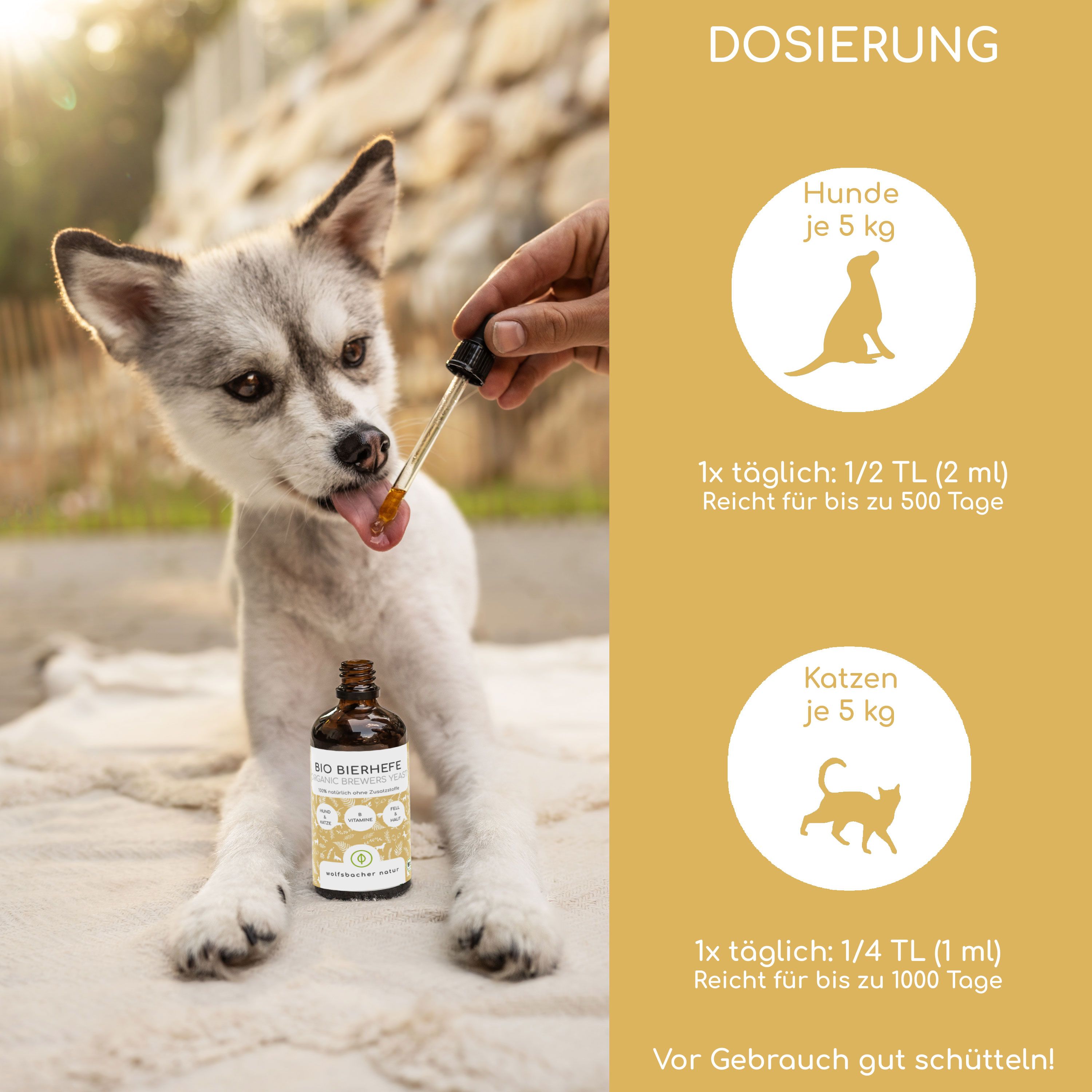 Hund bekommt Tropfen Bio Bierhefe. Dosierung: Hunde 5 kg, 1/2 TL täglich. Katzen 5 kg, 1/4 TL täglich. Text: Vor Gebrauch gut schütteln!