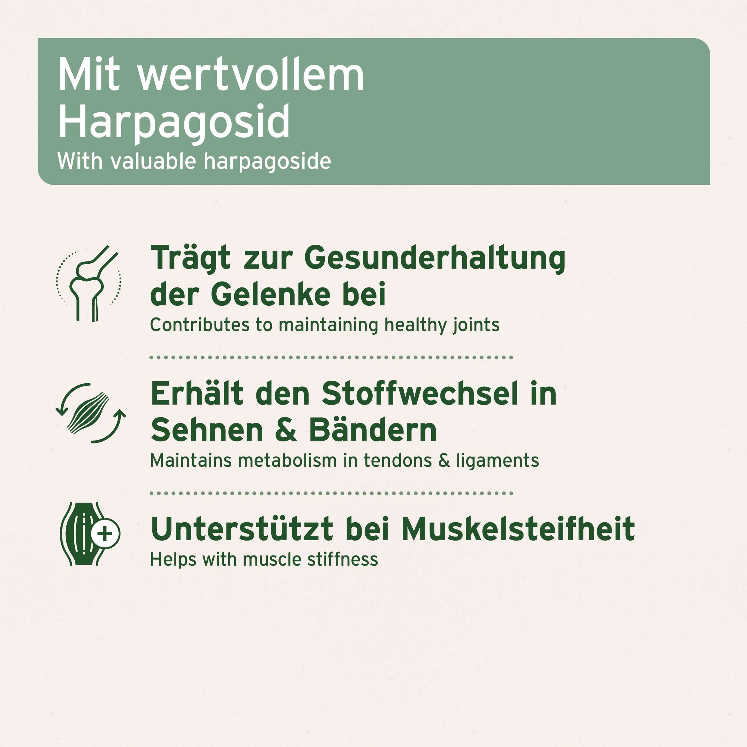 Text mit Informationen zu Gelenkgesundheit, Stoffwechsel und Muskelsteifheit. Illustrationen von Gelenken, Sehnen und Muskeln.