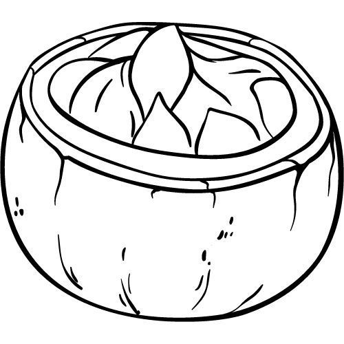 Alteya Organics Paranussöl 100%