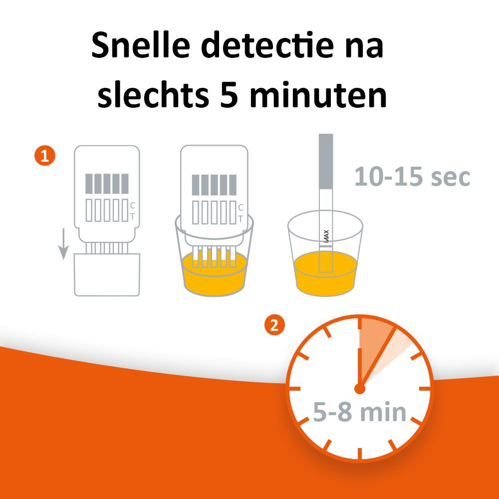 Grafische weergave van het testproces. Tijdsindicatie: 5-8 minuten.