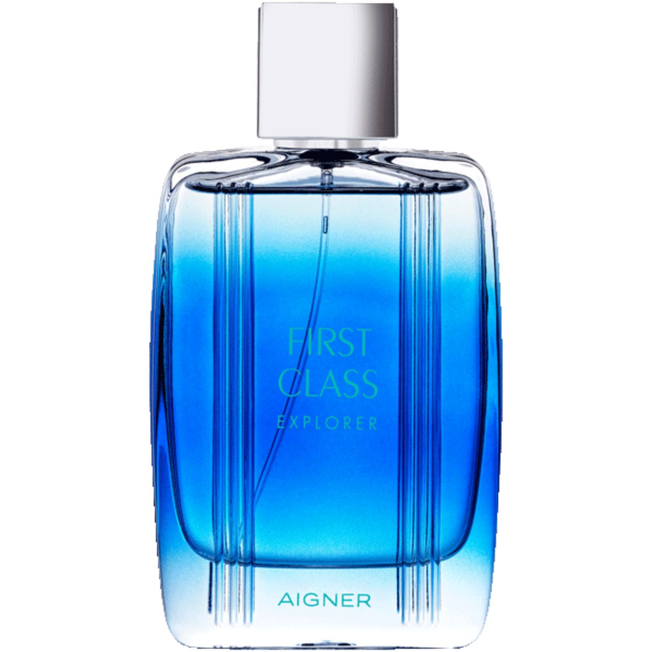 Aigner, First Class Explorer EdT Nat. Spray 100 ml Eau de Toilette