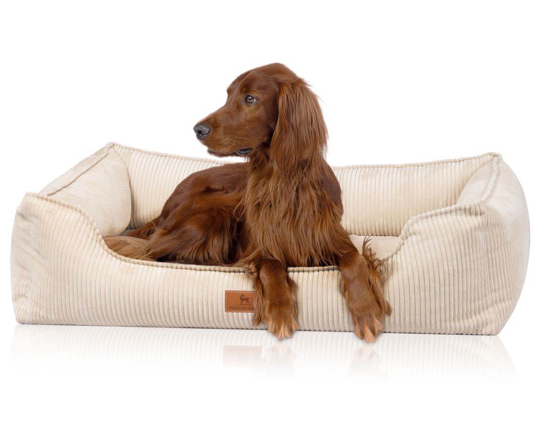 Beiges orthopädisches Hundebett mit Cordstruktur. Ein rothaariger Hund liegt entspannt darin. Kleines Markenetikett.