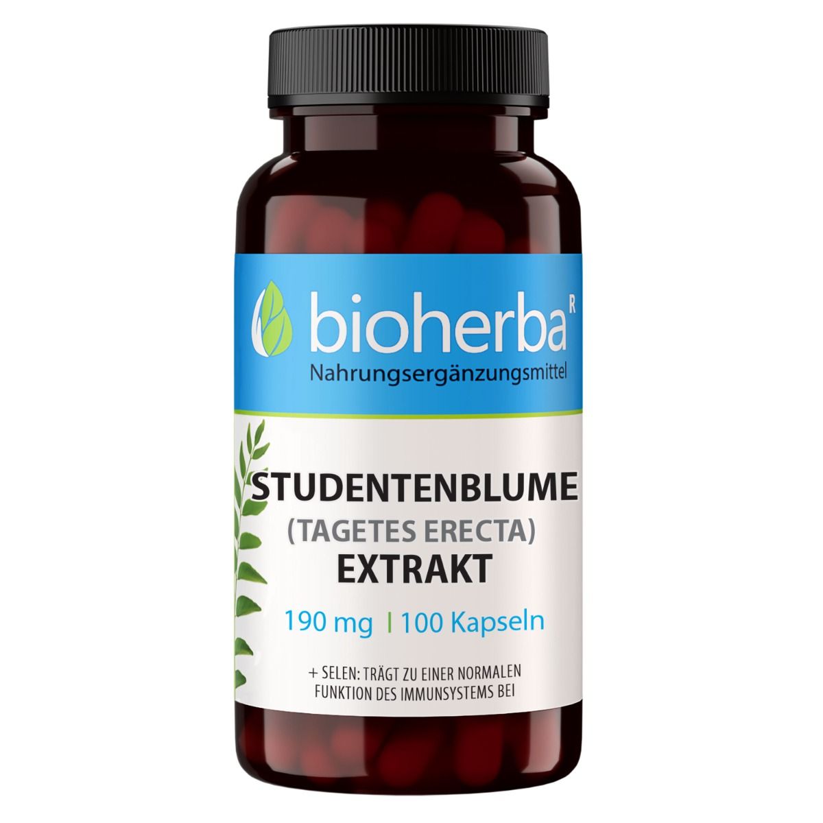 Braune Kapsel-Dose mit schwarzem Deckel. Etikett mit "bioherba" Logo und "Studentenblume (Tagetes Erecta) Extrakt". 100 Kapseln.