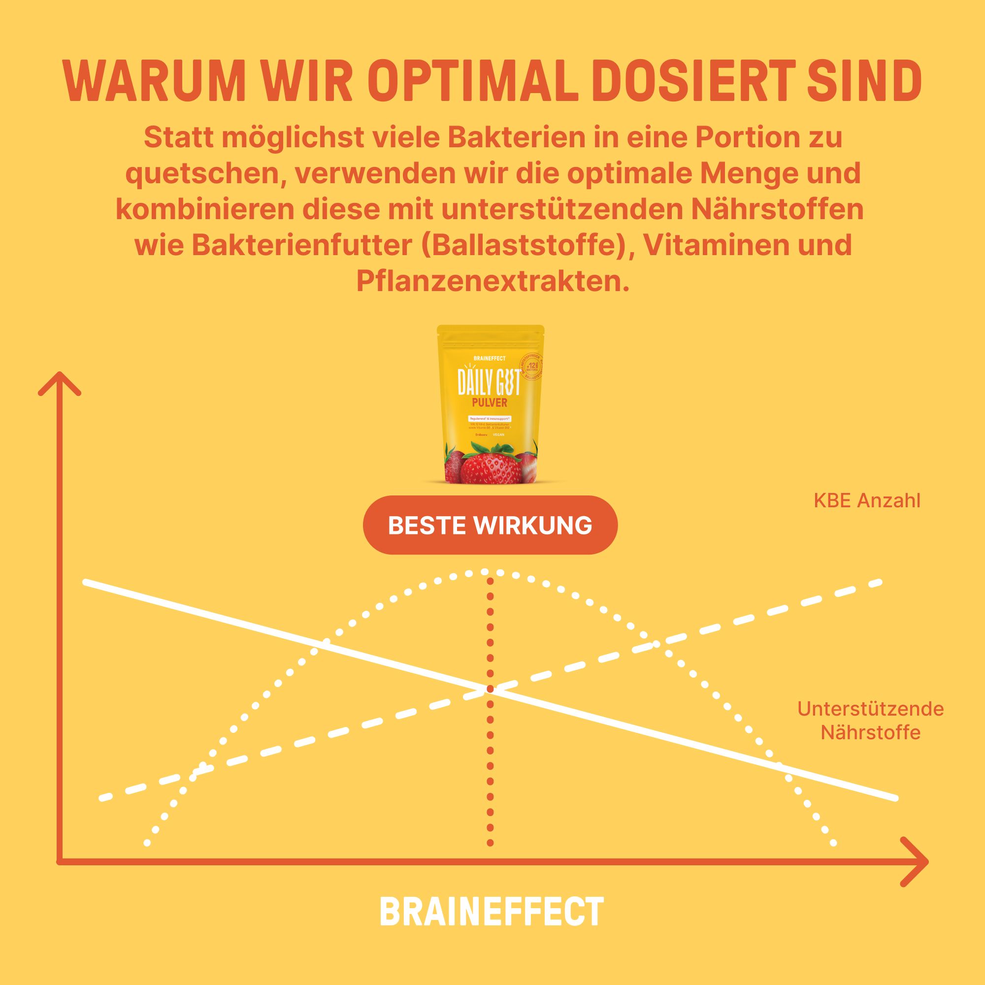 Diagramm mit Kurven. Text: Beste Wirkung, KBE Anzahl, Unterstützende Nährstoffe. Produktverpackung im Hintergrund. Text: Warum wir optimal dosiert sind.
