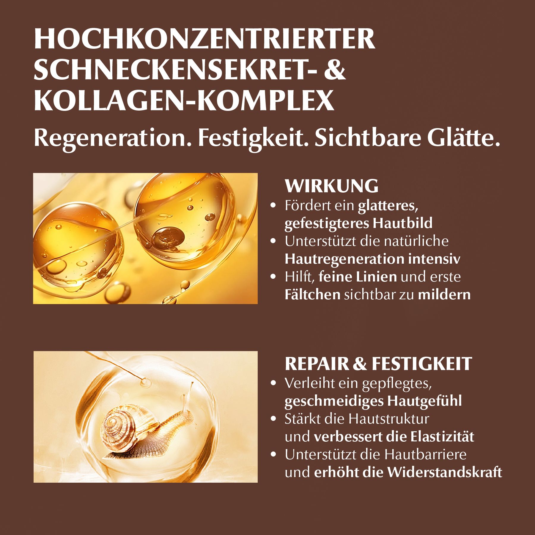 DR RASHEL Gesichtspflege-Set Kollagen Snail Mucin Geschenkbox Serum Cream Cleanser Toner