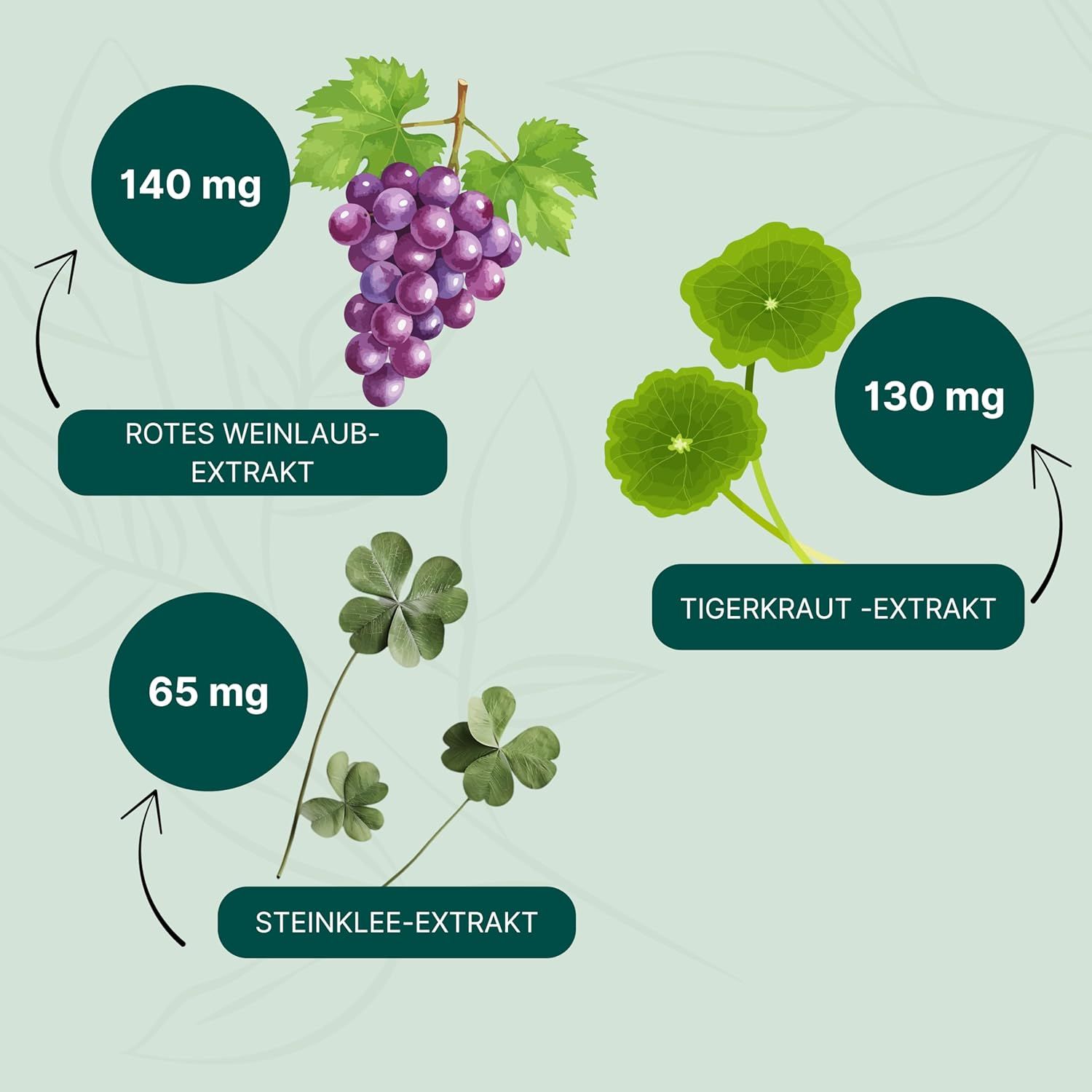 Infografik mit Inhaltsstoffen von ESSENZ Hämo Plus Kapseln: Rotes Weinlaub-Extrakt, Tigerkraut-Extrakt, Steinklee-Extrakt mit Mengenangaben.
