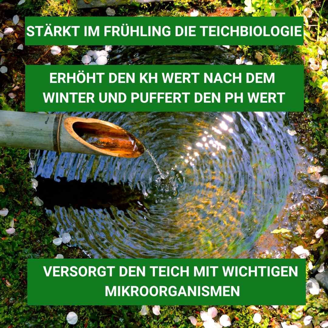 Aqua-Cereal FrühlingsStart