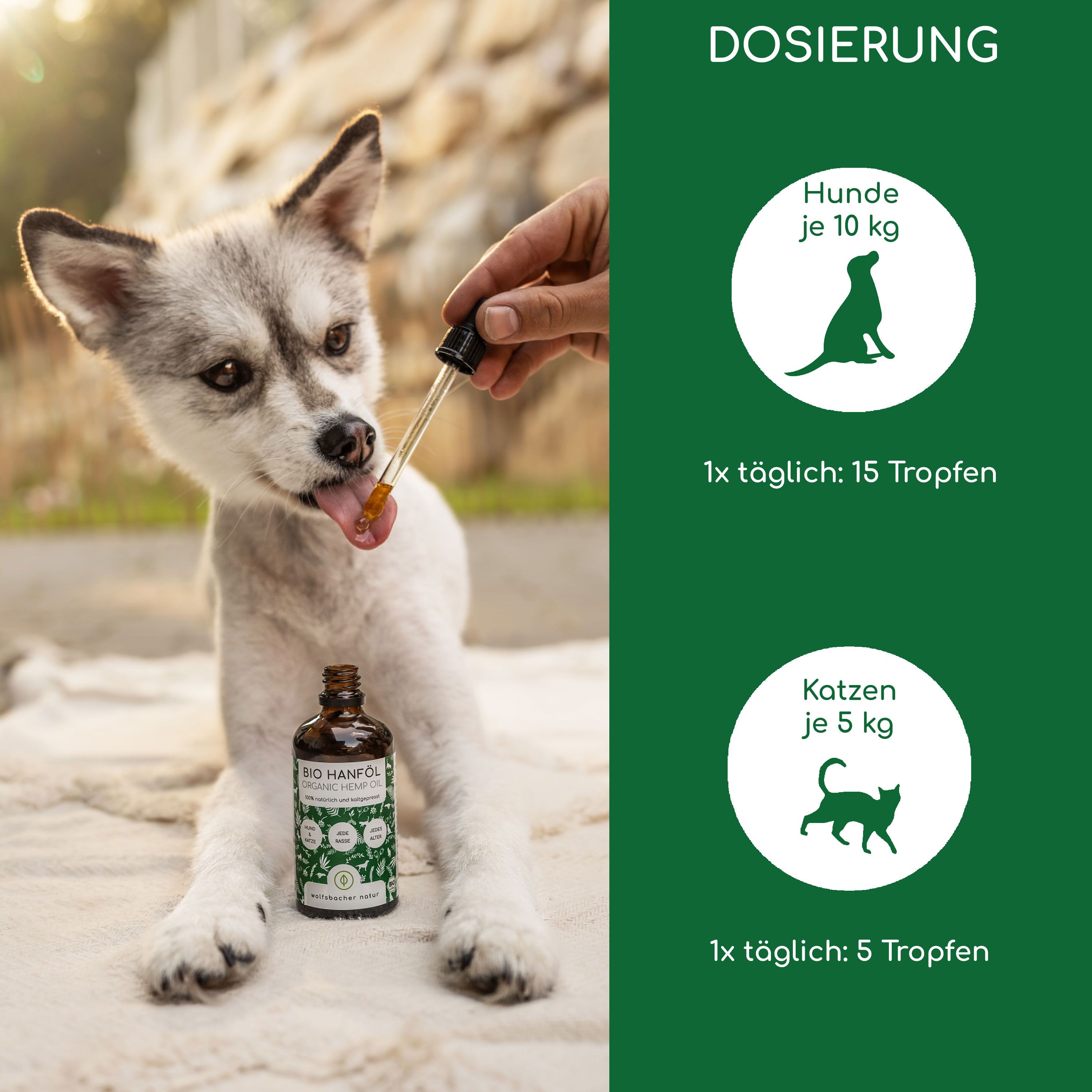 Hund bekommt Tropfen "BIO Hanföl". Dosierung: Hunde 15 Tropfen, Katzen 5 Tropfen. Grüne Icons.