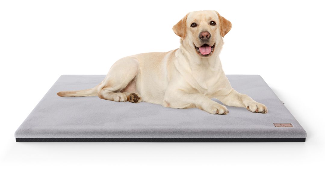 Hund liegt auf grauer, rechteckiger orthopädischer Matte. Schwarzer Rand, Label. Heller Hund.