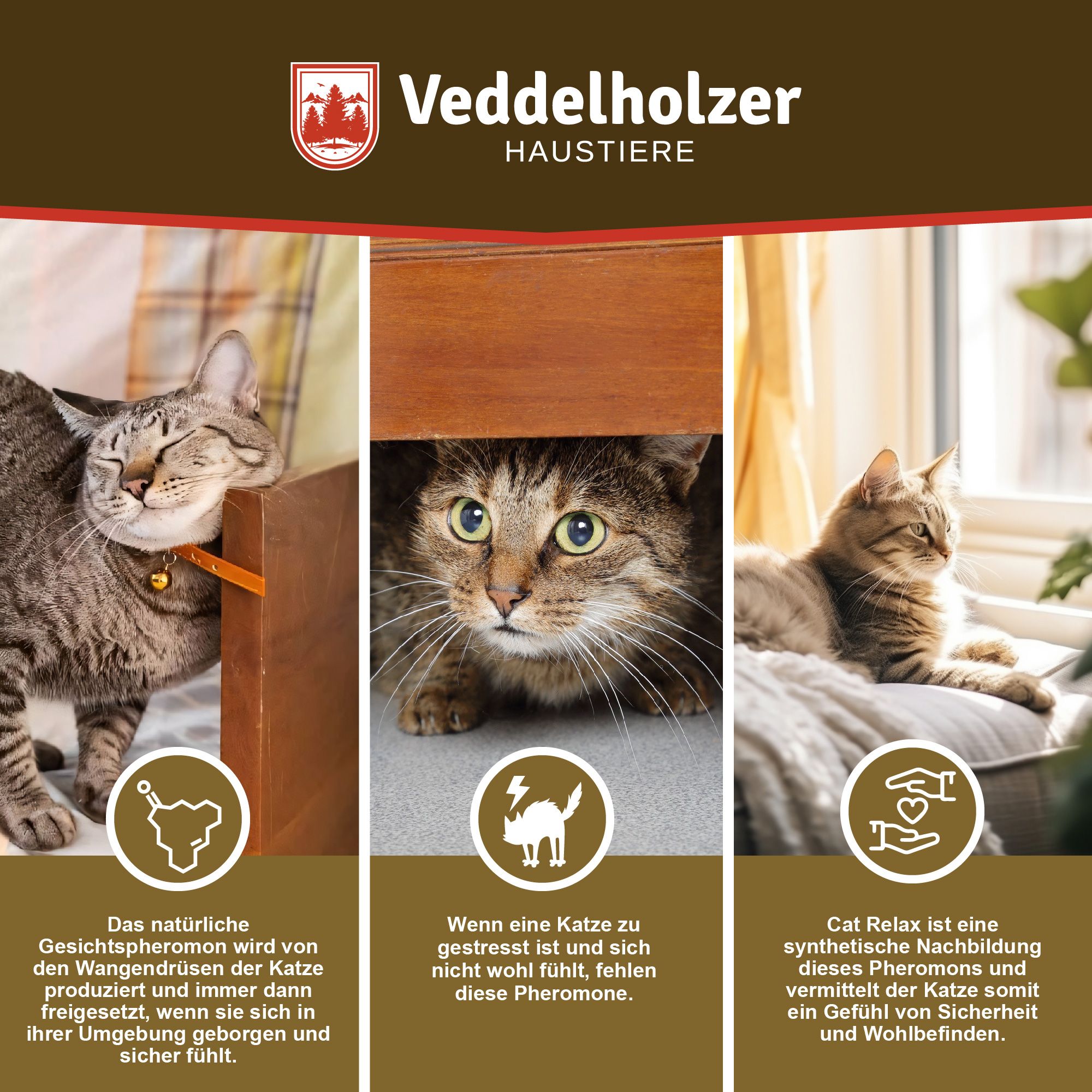 Drei Bilder mit Katzen. Text über Pheromone: natürliche Gesichtspheromone, Katze gestresst, Cat Relax. Text: Sicherheit und Wohlbefinden.