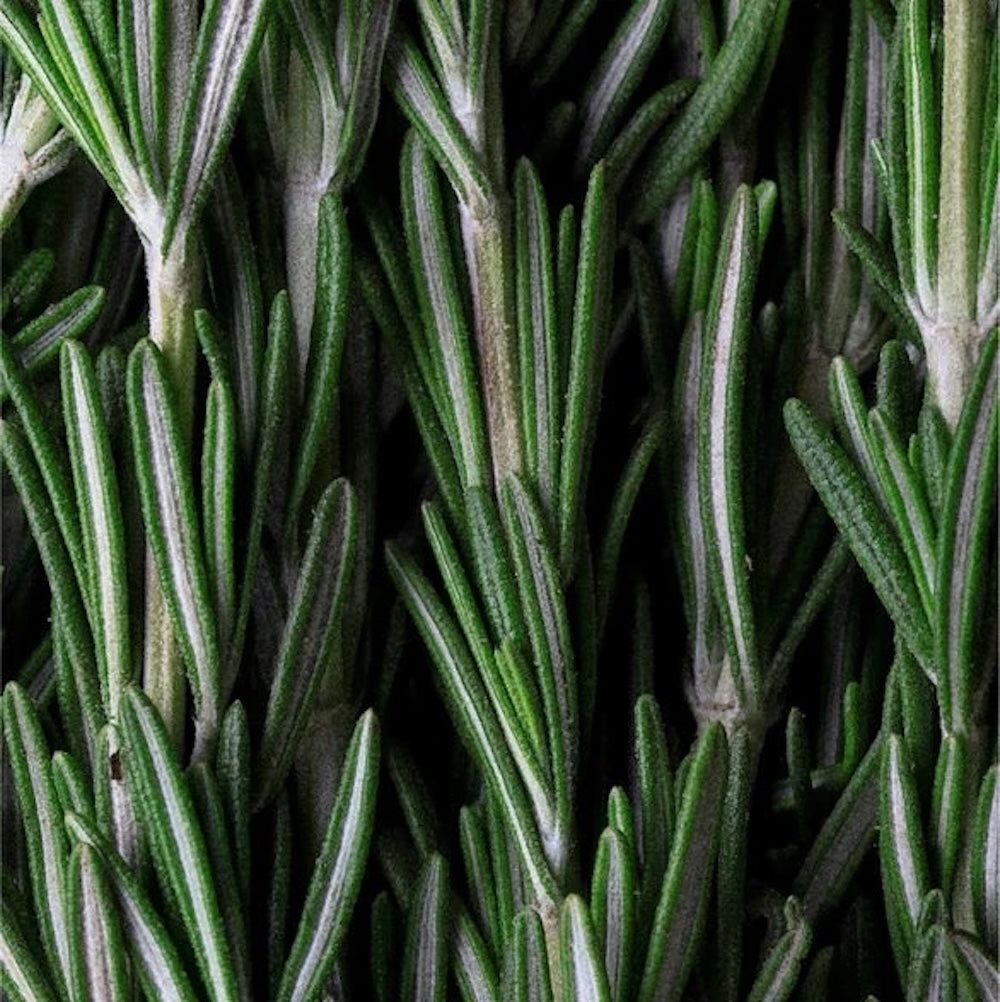 Zero Skin Shampoo für empfindliche Kopfhaut, beruhigend und sanft reinigend