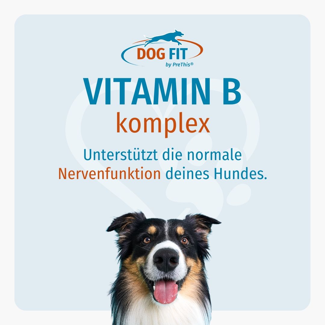 DOG FIT by PreThis® Logo und Text: VITAMIN B komplex. Hund mit Zunge. Text: Unterstützt die normale Nervenfunktion deines Hundes.