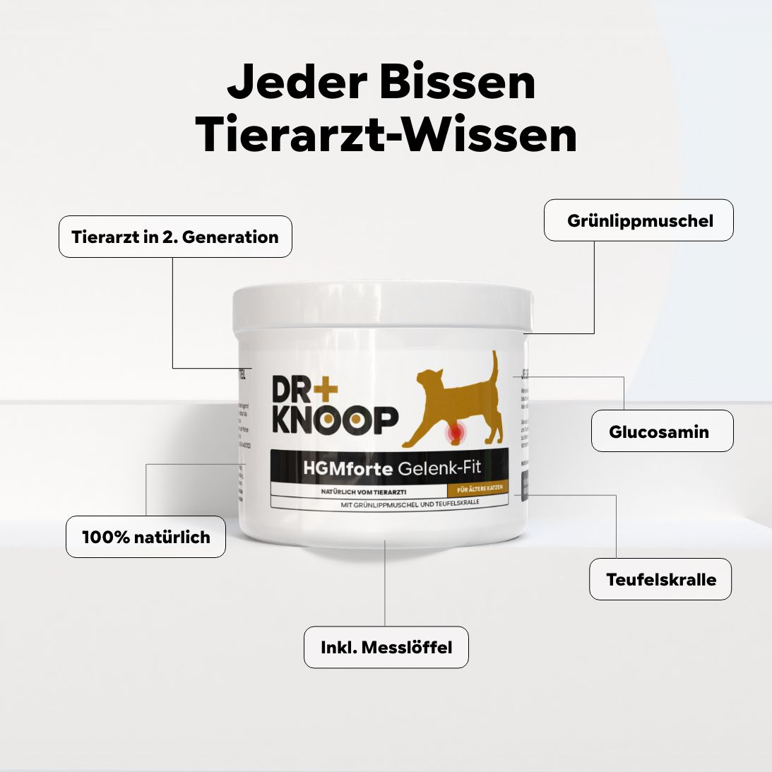Gelenkpulver Senior HGMforte speziell für alte Katze von Tierarzt Dr. Knoop