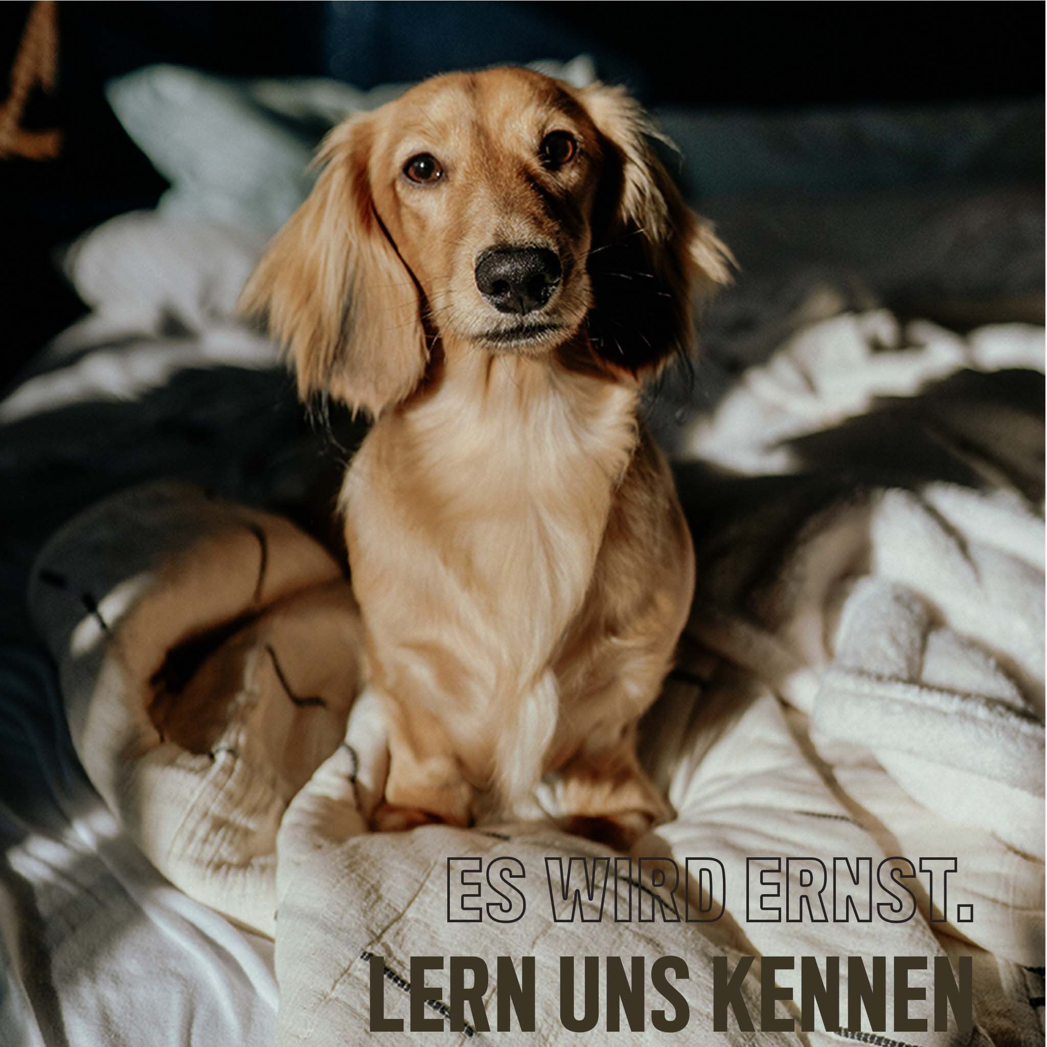 ALPHAZOO Ente Ohne Süß & Sauer