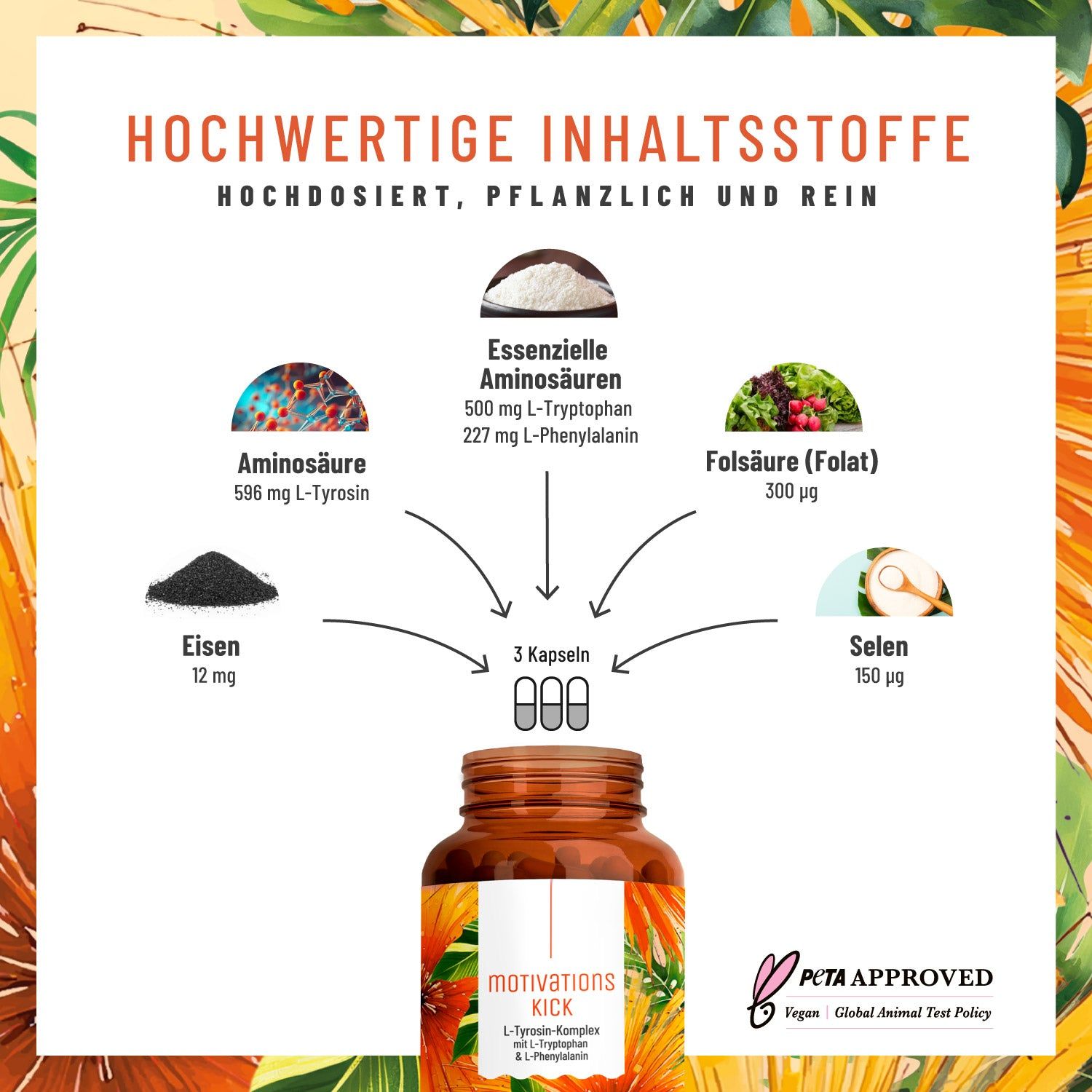 Grafik mit Inhaltsstoffen: Aminosäure, Eisen, Folsäure, Selen. Produktflasche mit Motivationskick.