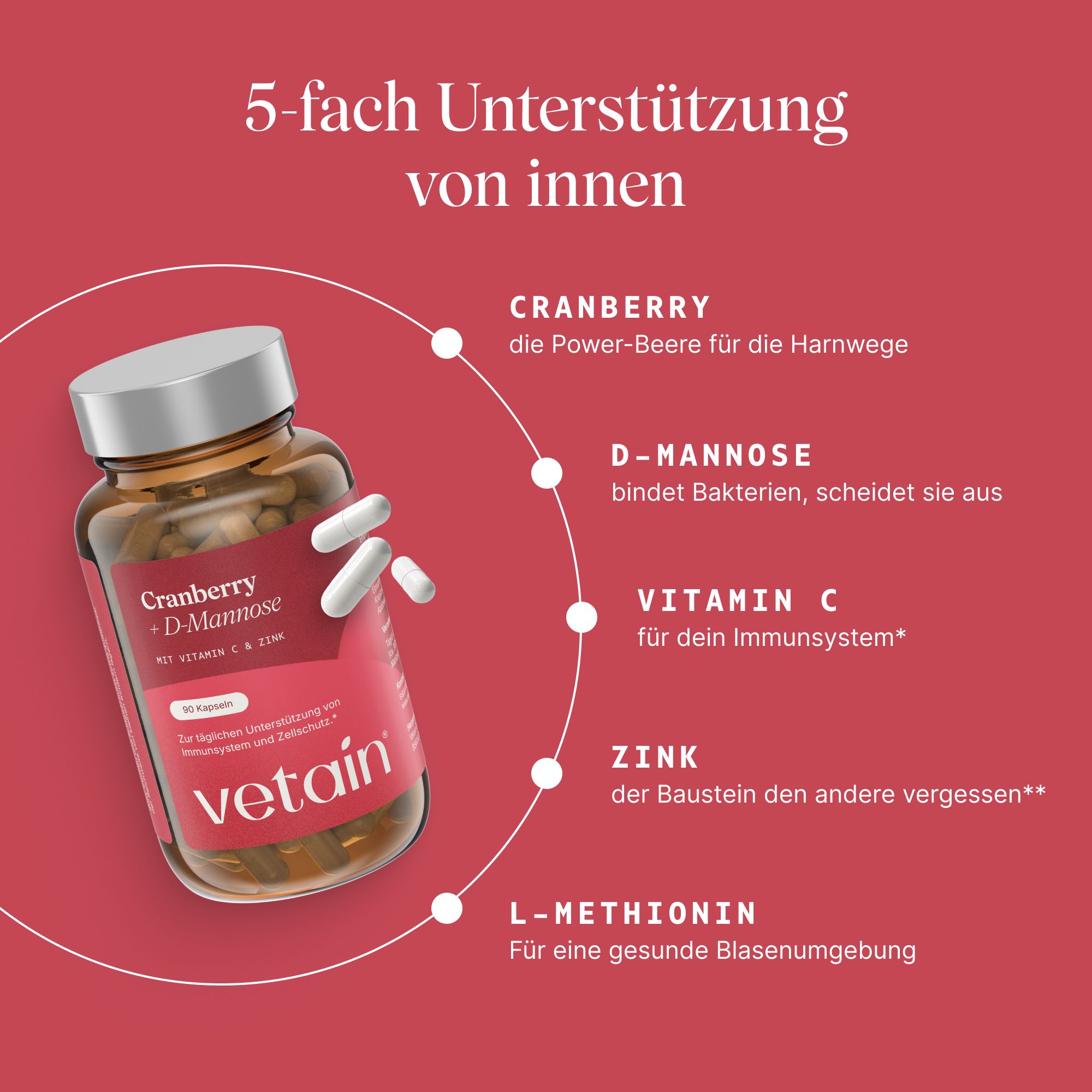 Vetain Cranberry + D-Mannose: Flasche mit Kapseln, erklärt 5-fach Unterstützung: Cranberry, D-Mannose, Vitamin C, Zink, L-Methionin.