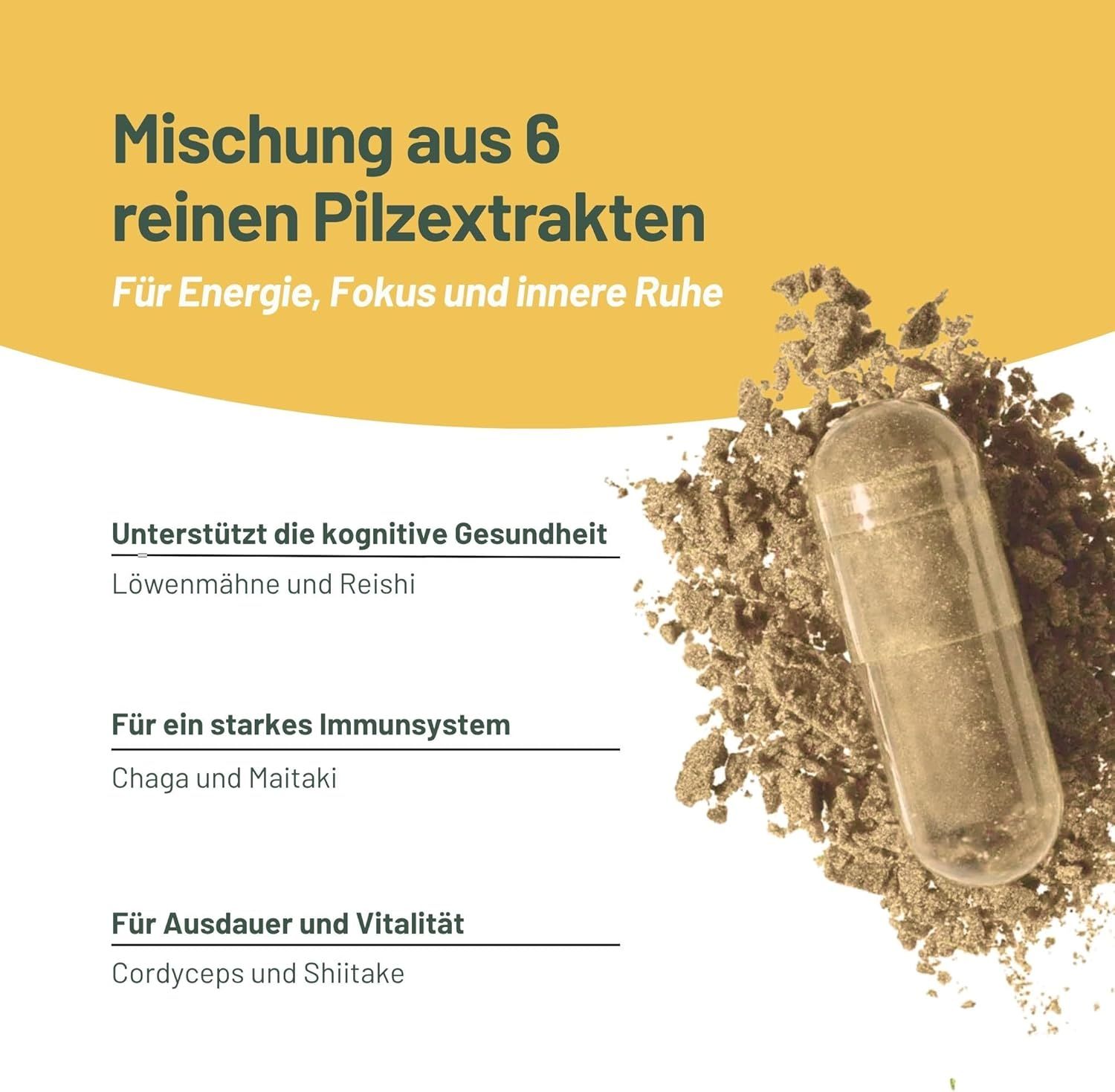 Kapsel mit Pilzextrakt. Text: Mischung aus 6 reinen Pilzextrakten. Unterstützt die kognitive Gesundheit. Für ein starkes Immunsystem. Für Ausdauer und Vitalität.