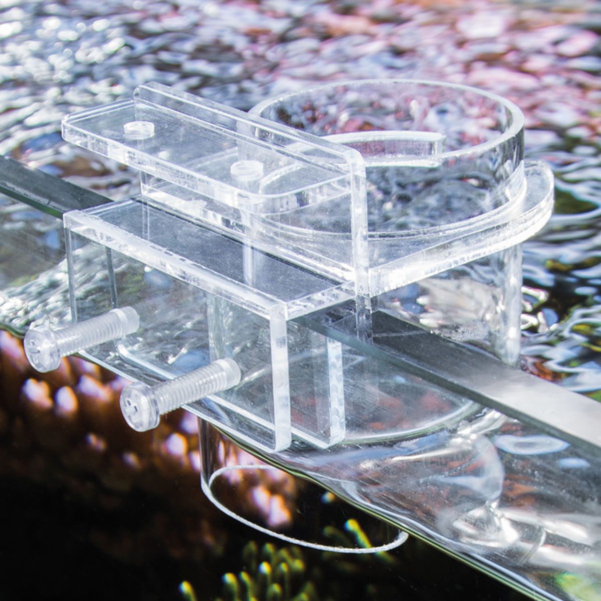 Futterspender im Aquarium. Transparenter Zylinder mit Halterung, an Glasscheibe befestigt. Schrauben sichtbar.