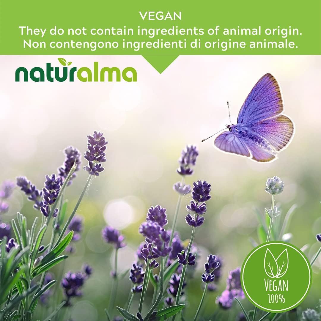 Logo Naturalma, Text: Vegan. Schmetterling über lila Blüten. Vegan-Siegel.