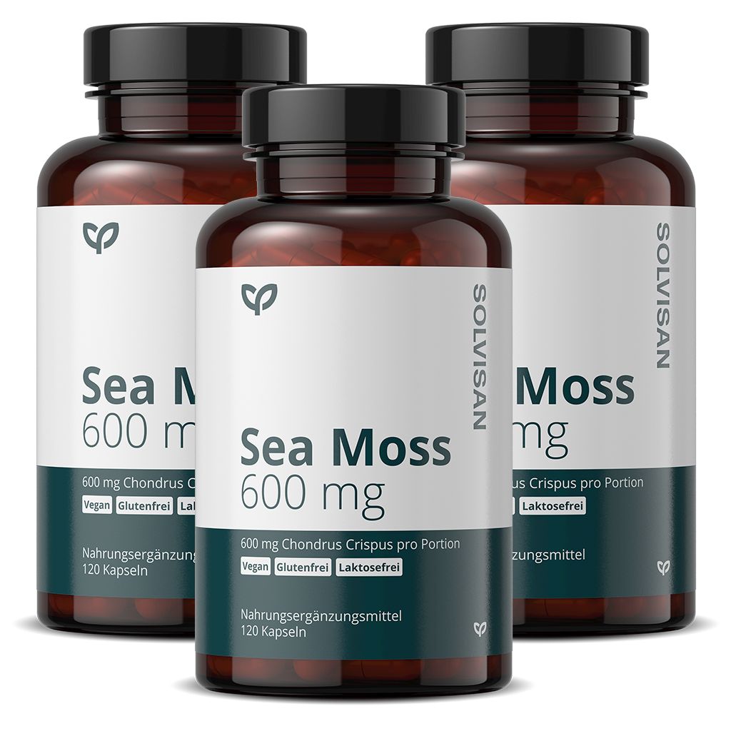 Drei braune Flaschen mit schwarzen Deckeln. Auf den Etiketten steht "Sea Moss 600 mg". Vegan, glutenfrei, laktosefrei.