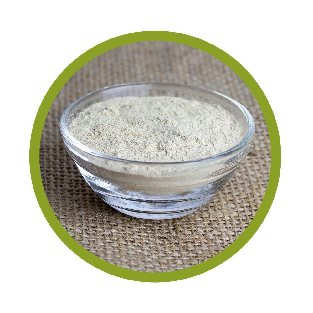 vitalundfitmit100® Bio Shiitake Pulver