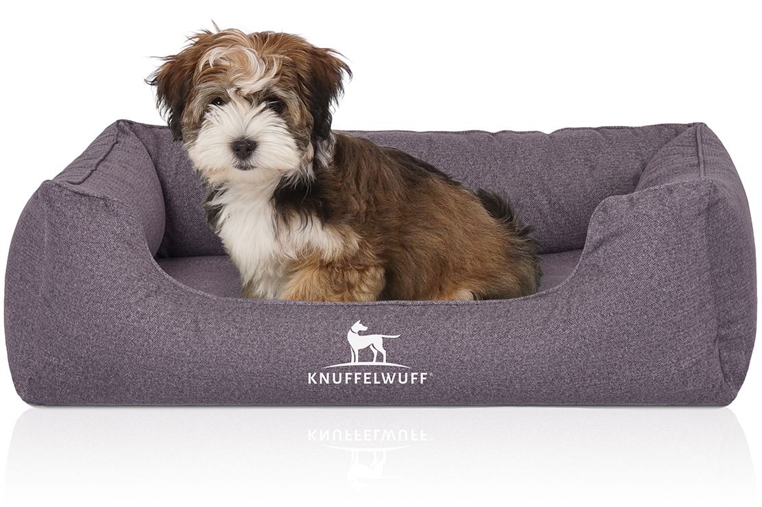 Hundebett Malou, grau, mit Hund. Kleiner Hund sitzt im Bett. Knuffelwuff Logo. Rechteckige Form mit erhöhten Seiten.