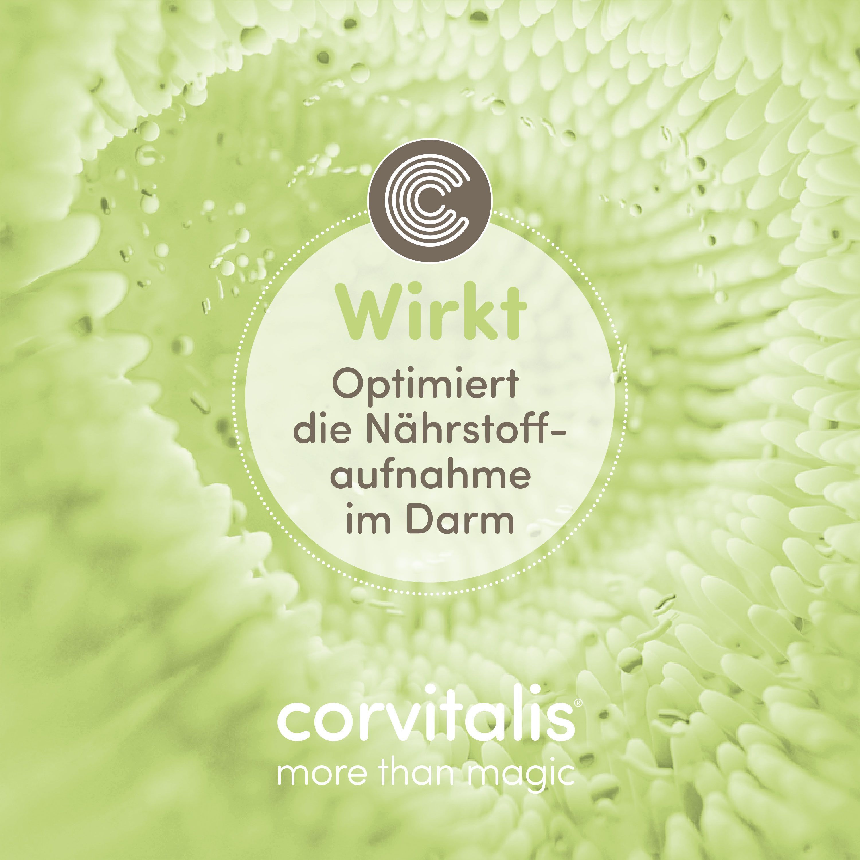 happycor® Pure Power Nährstoff-Booster, optimiert das tägliche Futter als natürlicher Funktionssnack