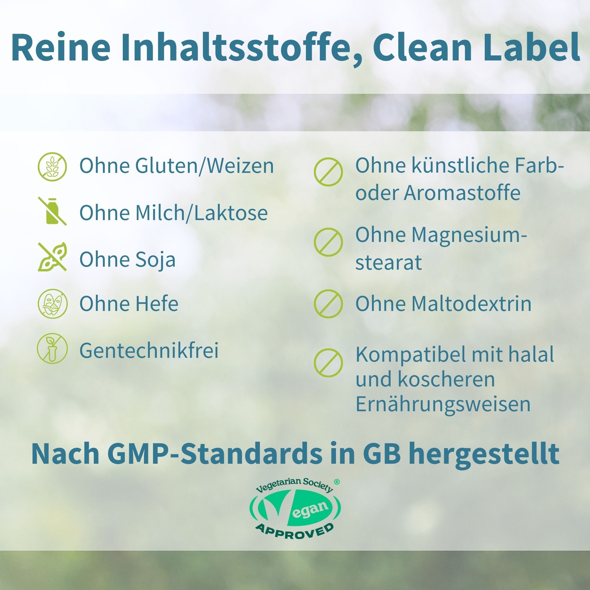 Text auf grünem Hintergrund. Text: Ohne Gluten/Weizen, Ohne Milch/Laktose, Ohne Soja, Ohne Hefe, Gentechnikfrei.