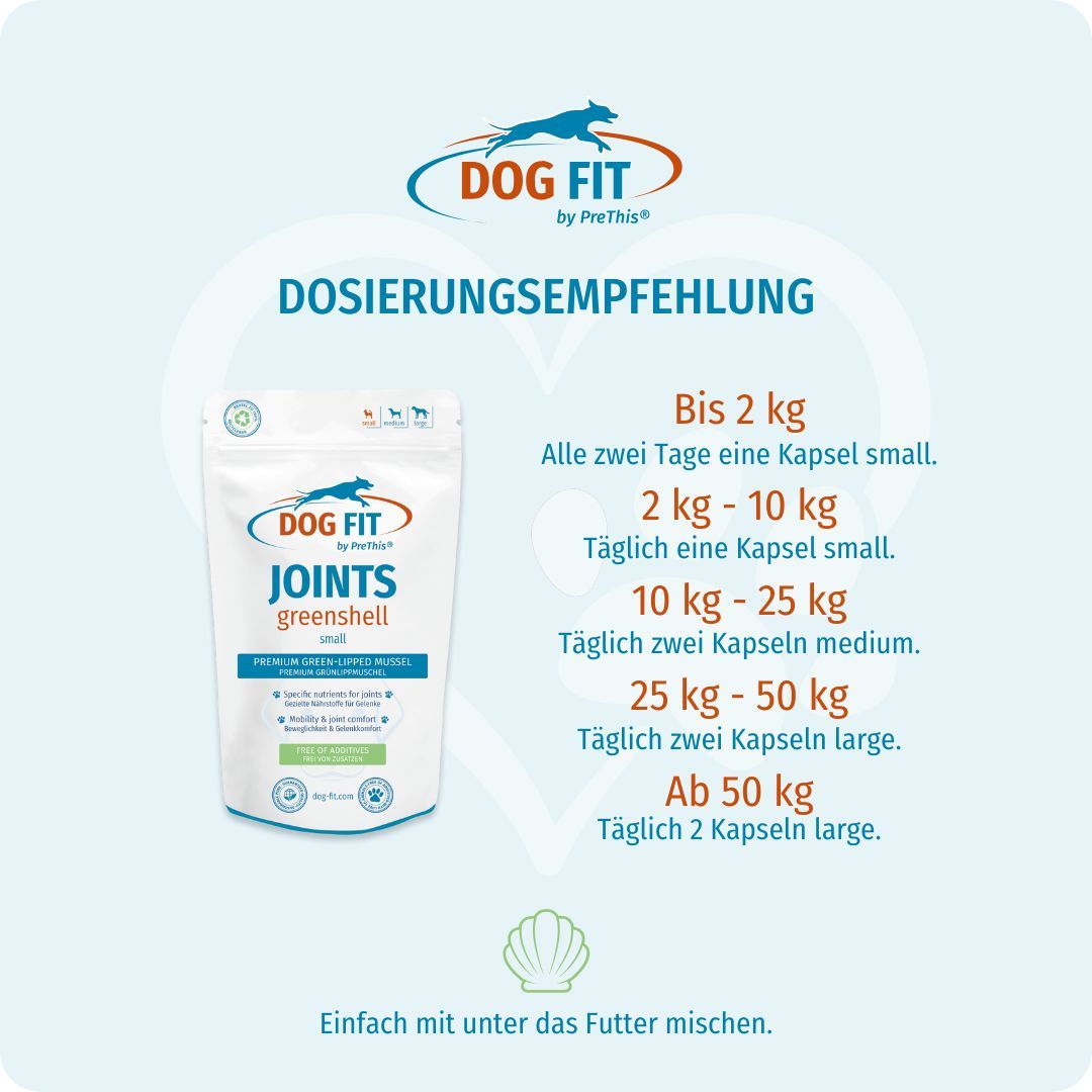 DOG FIT by PreThis® JOINTS greenshell » Grünlippmuschel + Kollagen für Hunde » medium