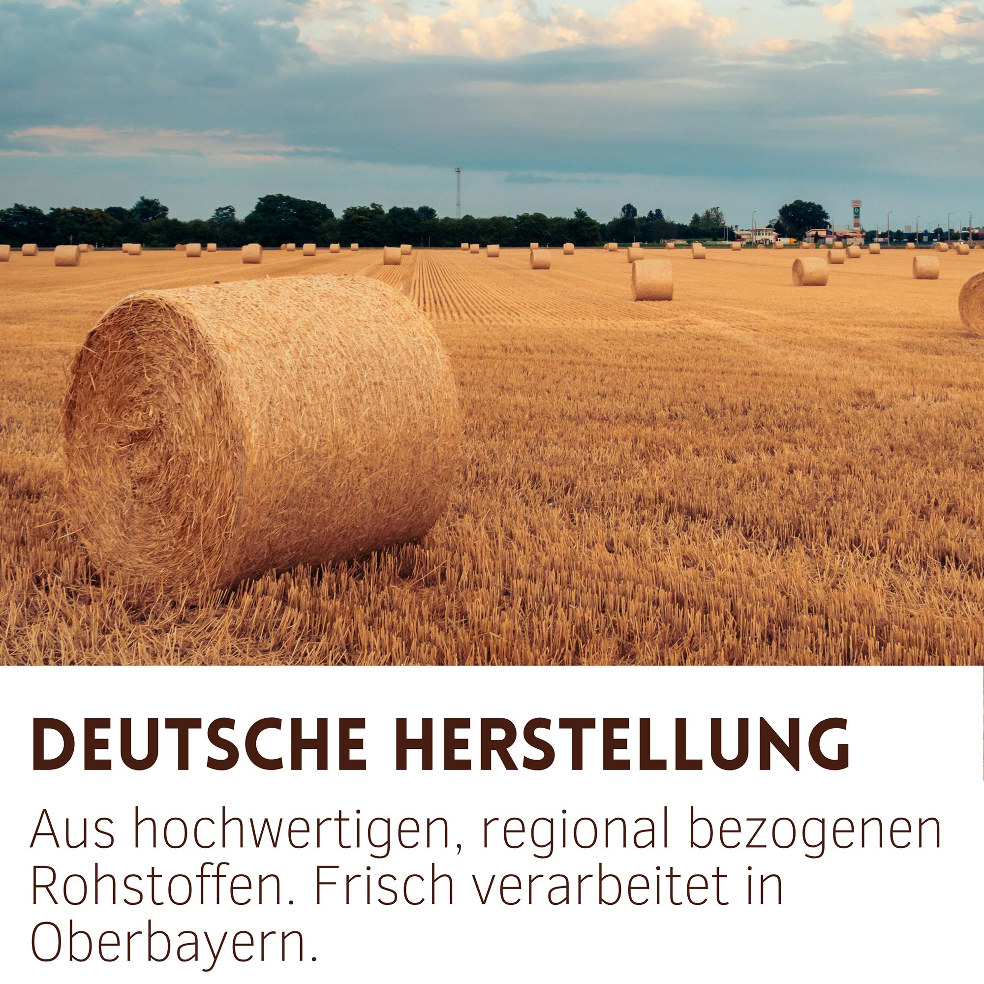 Heuballen auf einem Feld. Text: Deutsche Herstellung, aus hochwertigen, regional bezogenen Rohstoffen. Frisch verarbeitet in Oberbayern.
