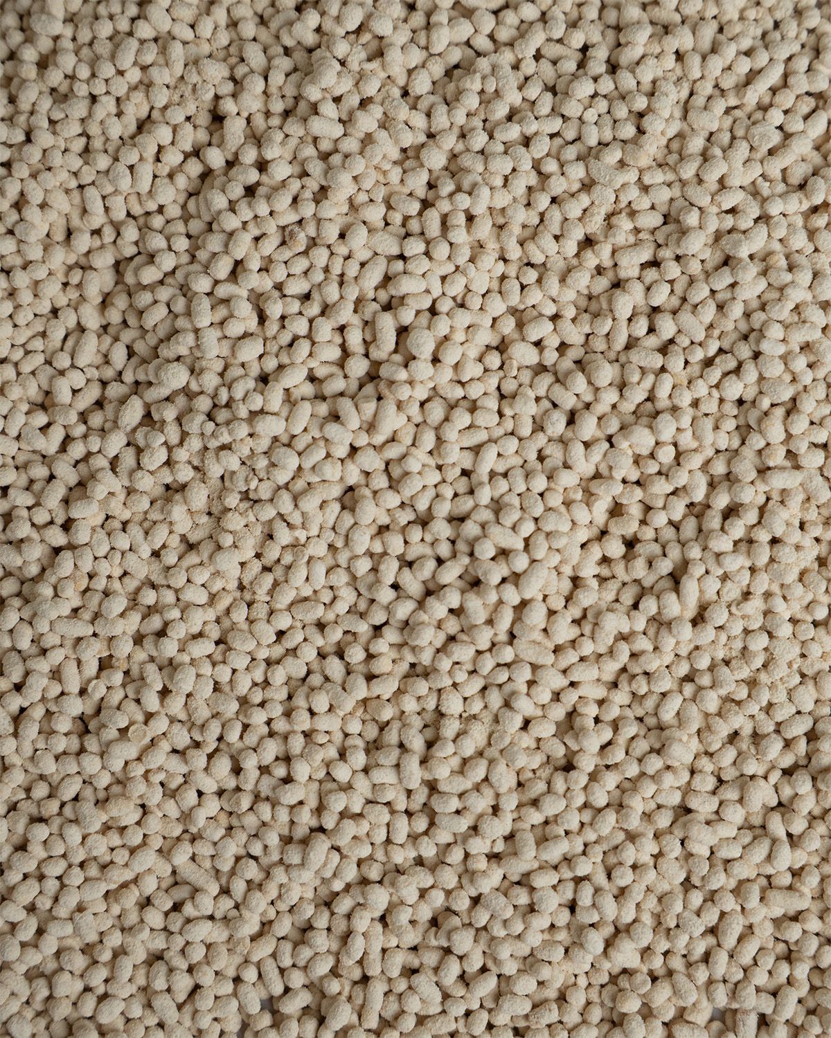 Nahaufnahme von Sonnenblumenlecithin Granulat.