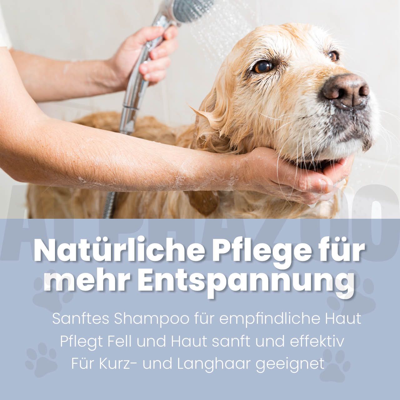 alphazoo Sensibelchen Shampoo für Hunde – mit Aloe Vera