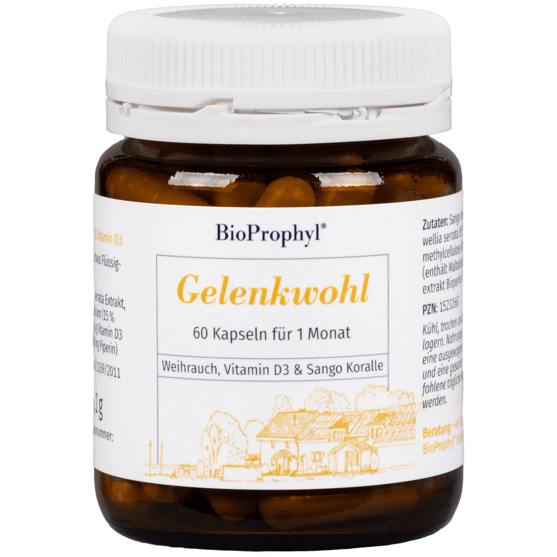 BioProphyl Gelenkwohl 60 St