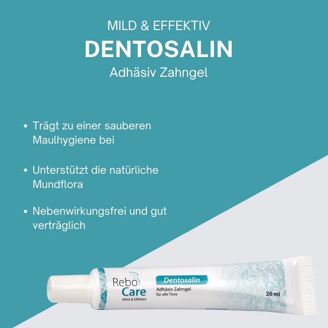 reboVet Dentosalin Adhäsives Zahngel