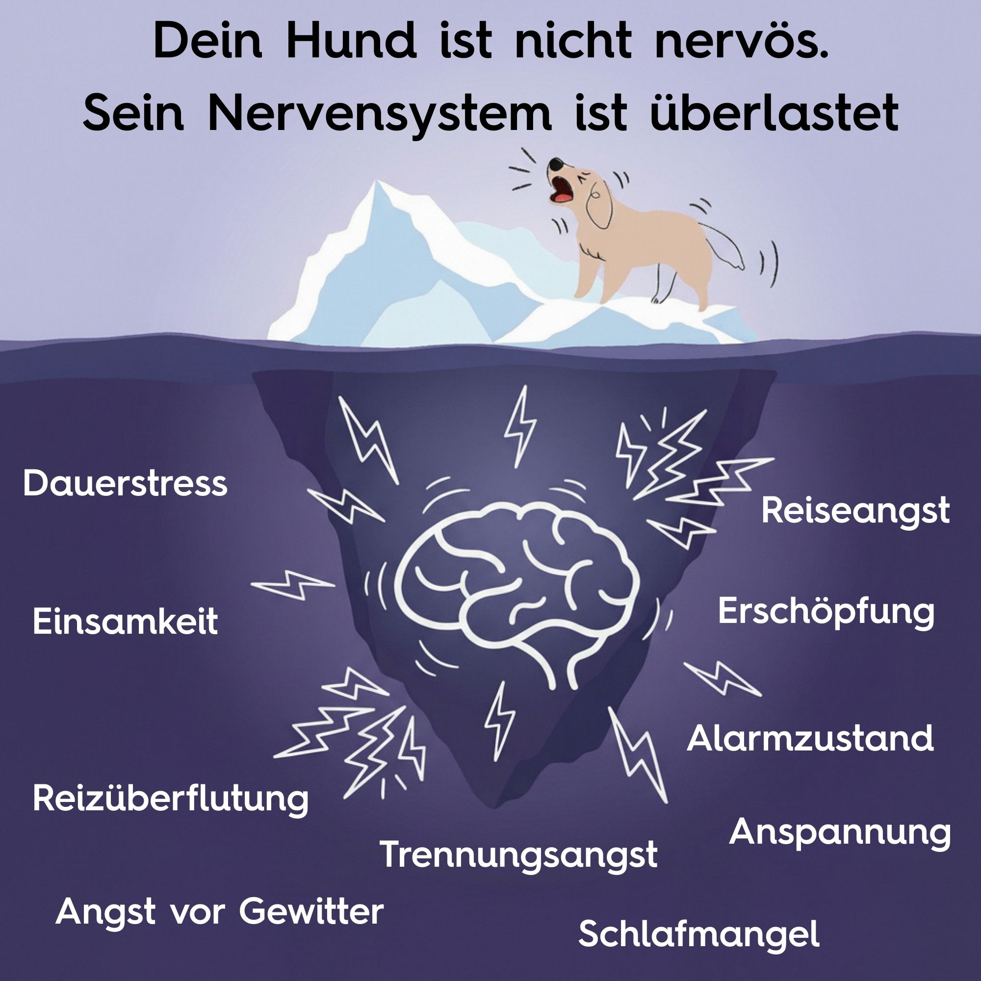 Illustration: Eisberg mit Hund und Gehirn. Unter der Wasseroberfläche: Stress, Angst, Einsamkeit, etc. Text: Nervensystem überlastet.