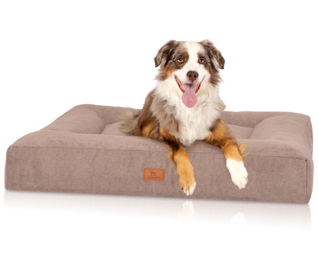 Hund liegt auf beigem Hundebett. Braunes, weißes Fell. Offener Mund, Zunge sichtbar. Rechteckiges Bett mit Logo-Etikett.