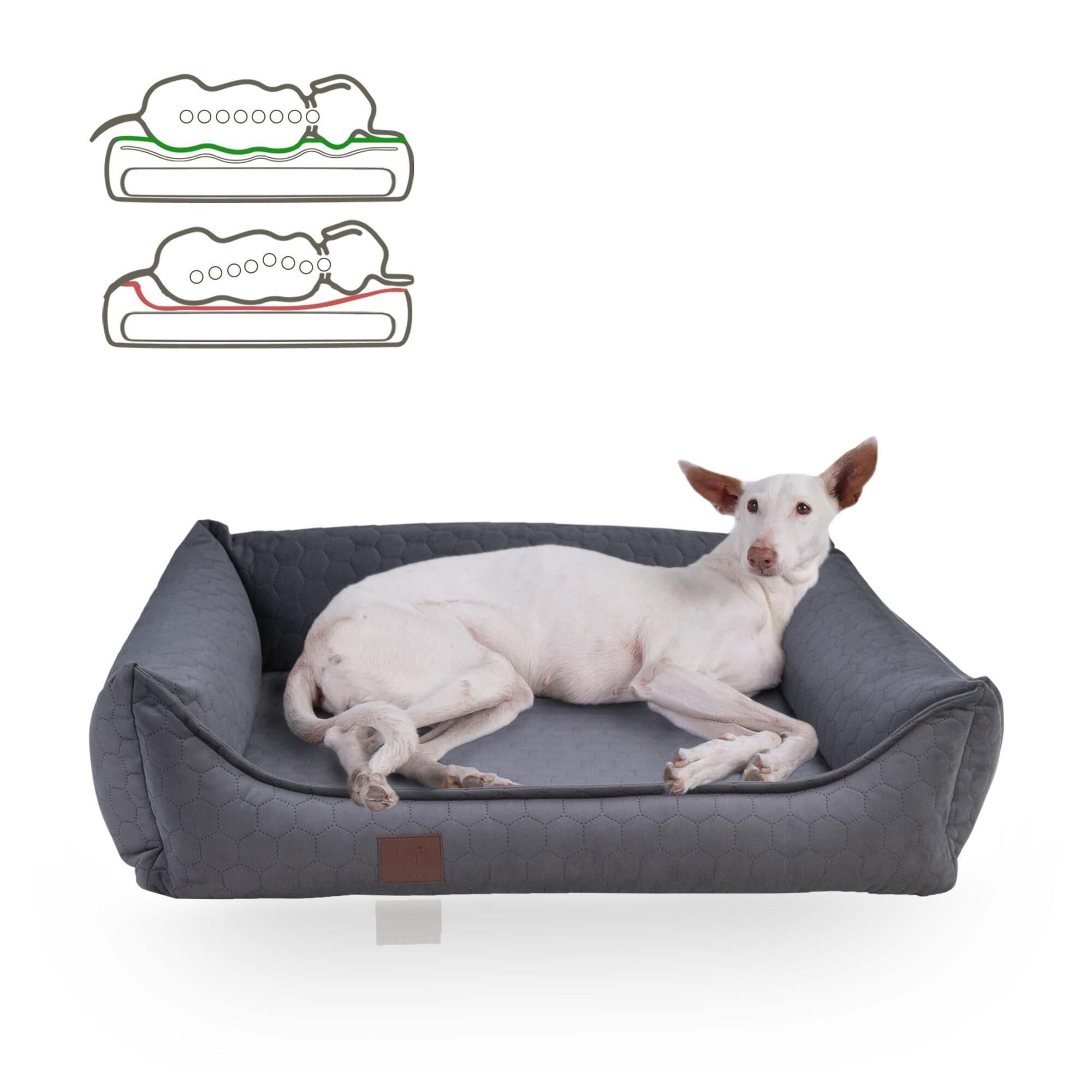 Hundebett, dunkelgrauer Velours, Hund liegt. Eckige Form, niedrige Seitenwände. Braunes Label.