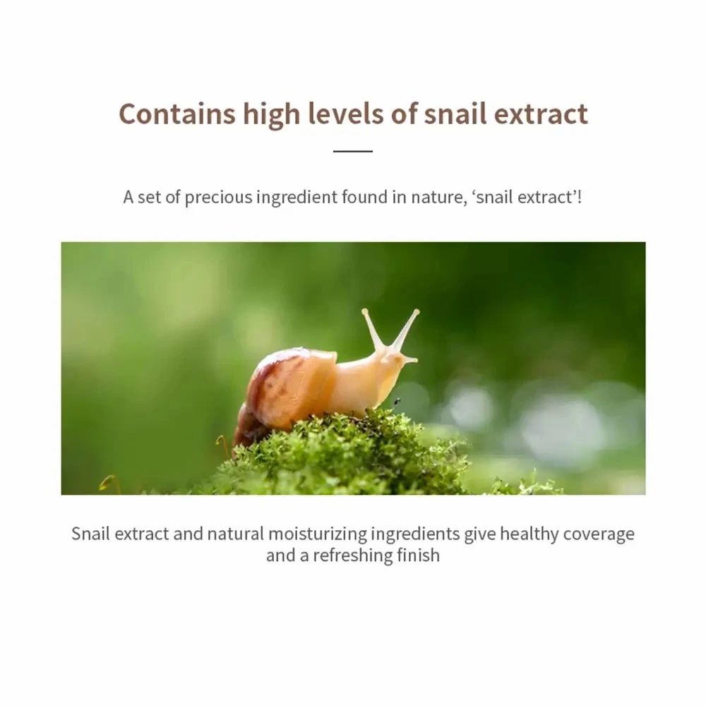 Schnecke auf Moos, die die Hauptzutat des MIZON Snail Repair BB Creams hervorhebt.