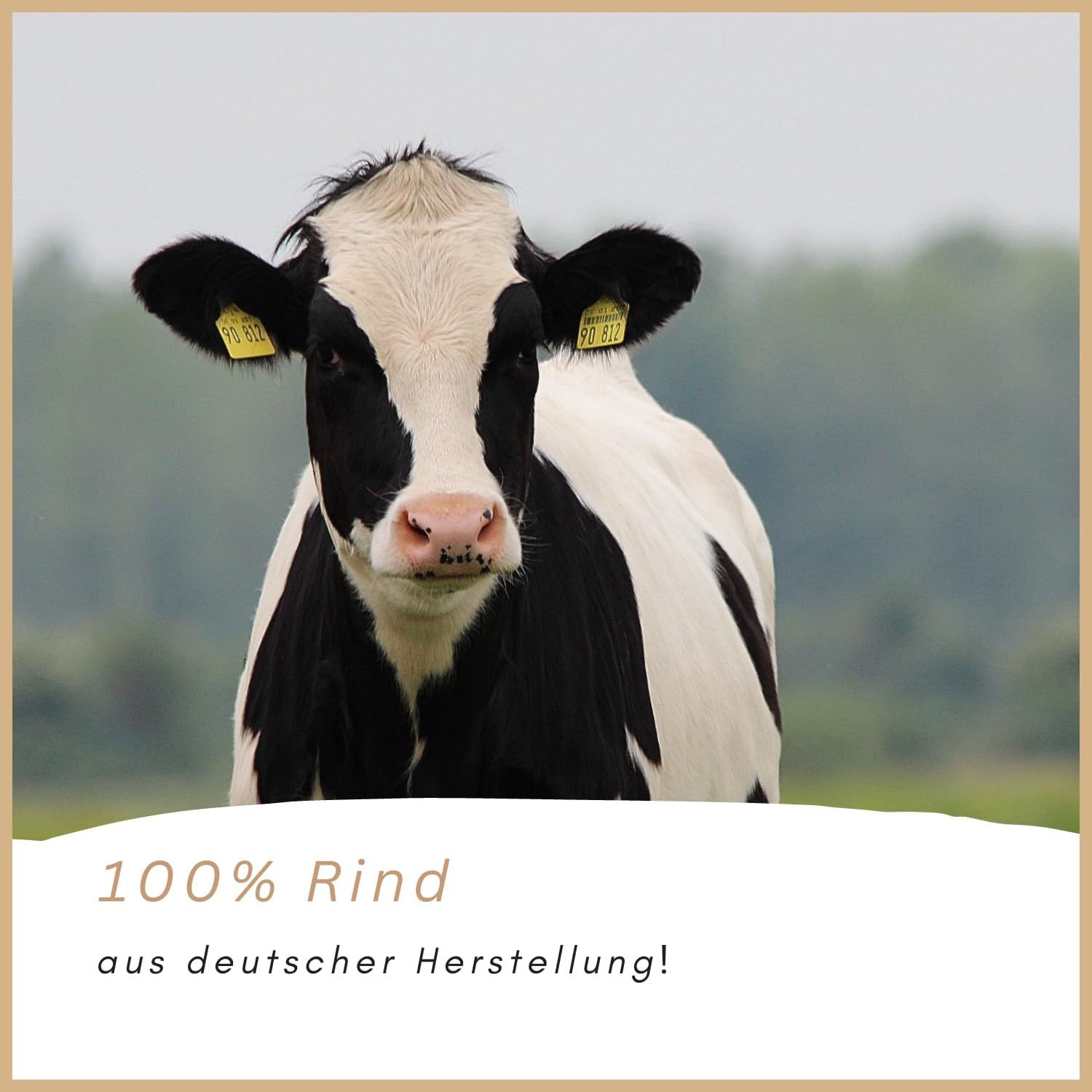 Kuh auf Wiese. Text: 100% Rind aus deutscher Herstellung!