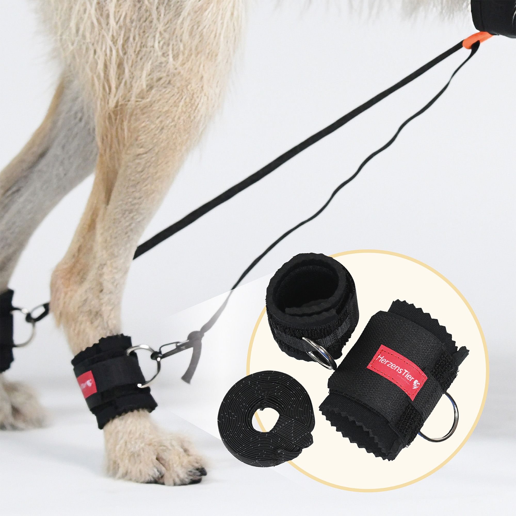 Hundebein mit Bandagen und Trainingsband. Zwei Bandagen, eine mit HerzensTier-Etikett und Ring. Rolle mit Klettverschluss.