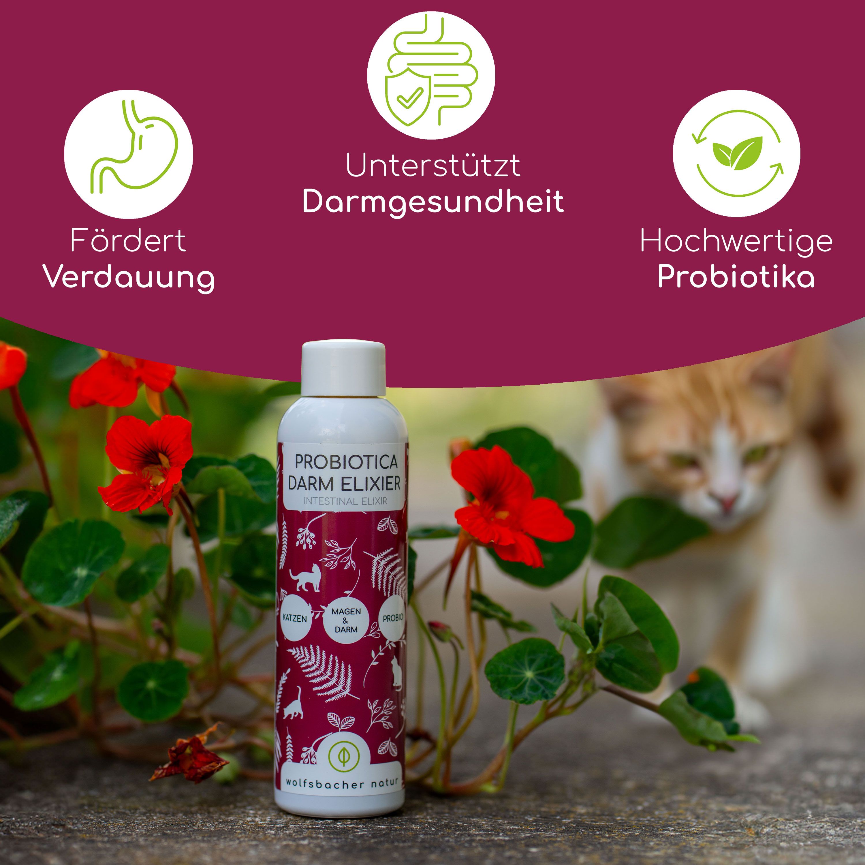 Flasche mit Etikett vor roter Blüte und Katze. Text: Probiotica Darm Elixier. Logos: Verdauung, Darmgesundheit, Probiotika. Marke: Wolfsbacher Natur.