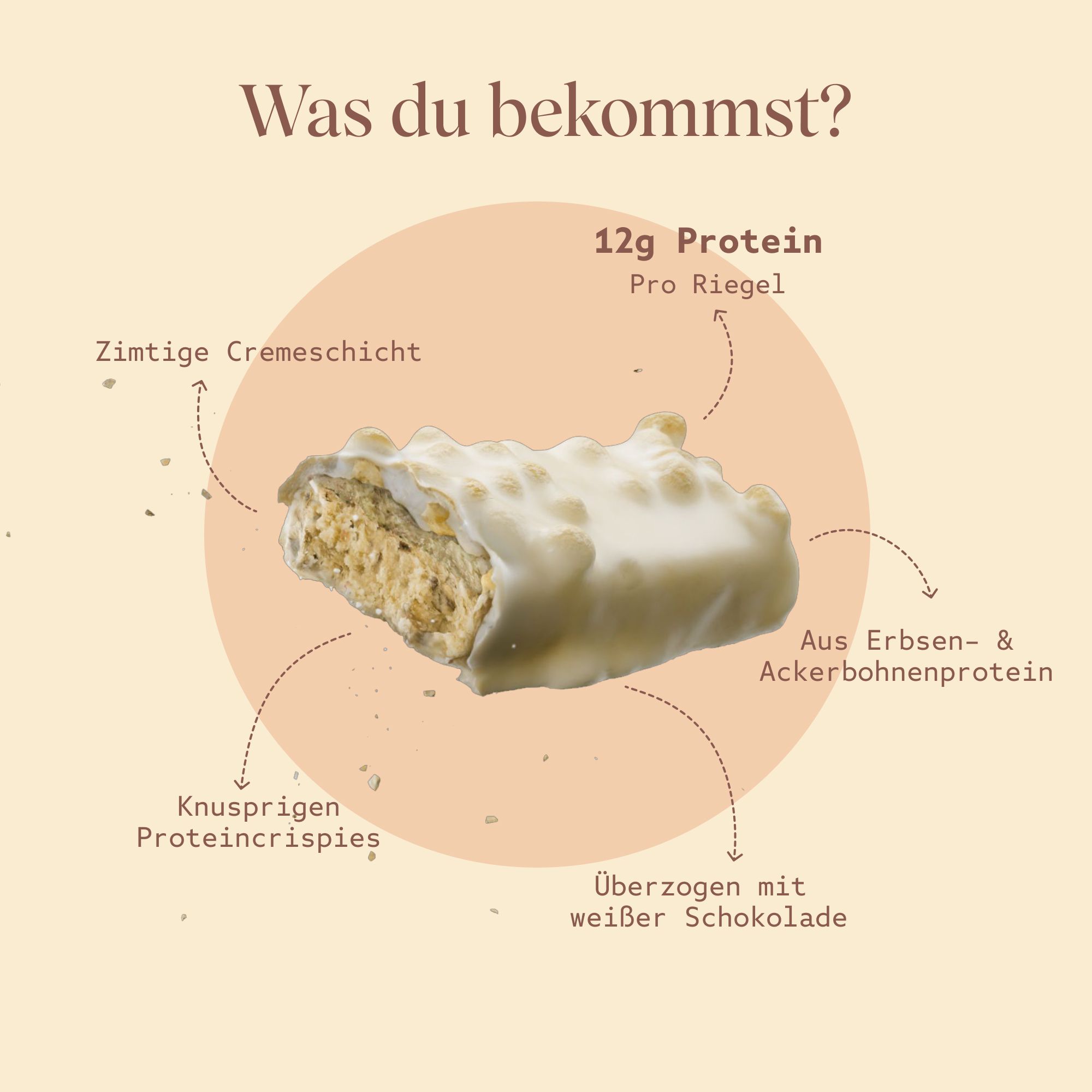 Aufgeschnittener Proteinriegel. Beschriftung mit Inhaltsstoffen: Protein, Cremeschicht, Crispies.