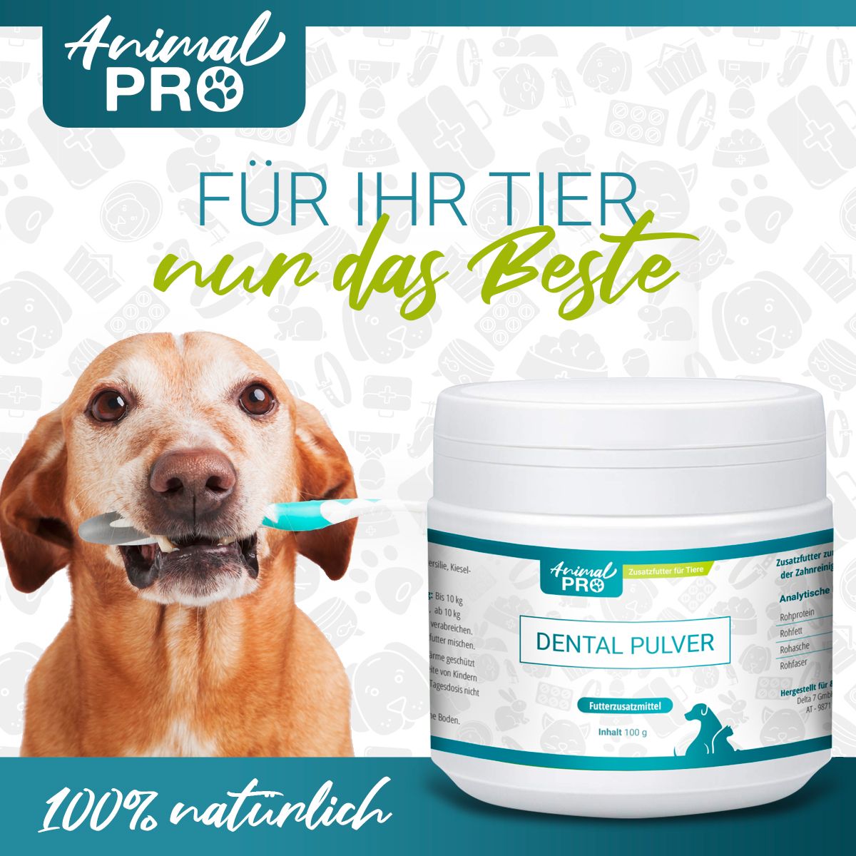 Hund mit Zahnbürste im Maul, neben Dose mit Animal Pro Dental Pulver. Text: Für Ihr Tier nur das Beste, 100% natürlich.