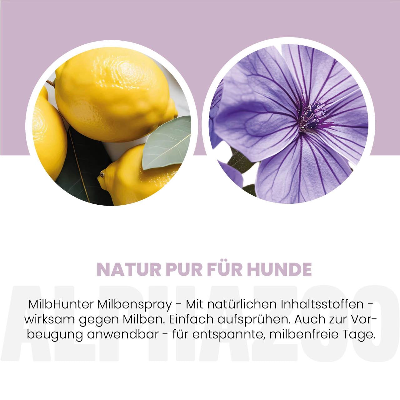 Zitronen und eine lila Blüte. Text: Natur pur für Hunde. Wirksam gegen Milben. Einfache Anwendung.