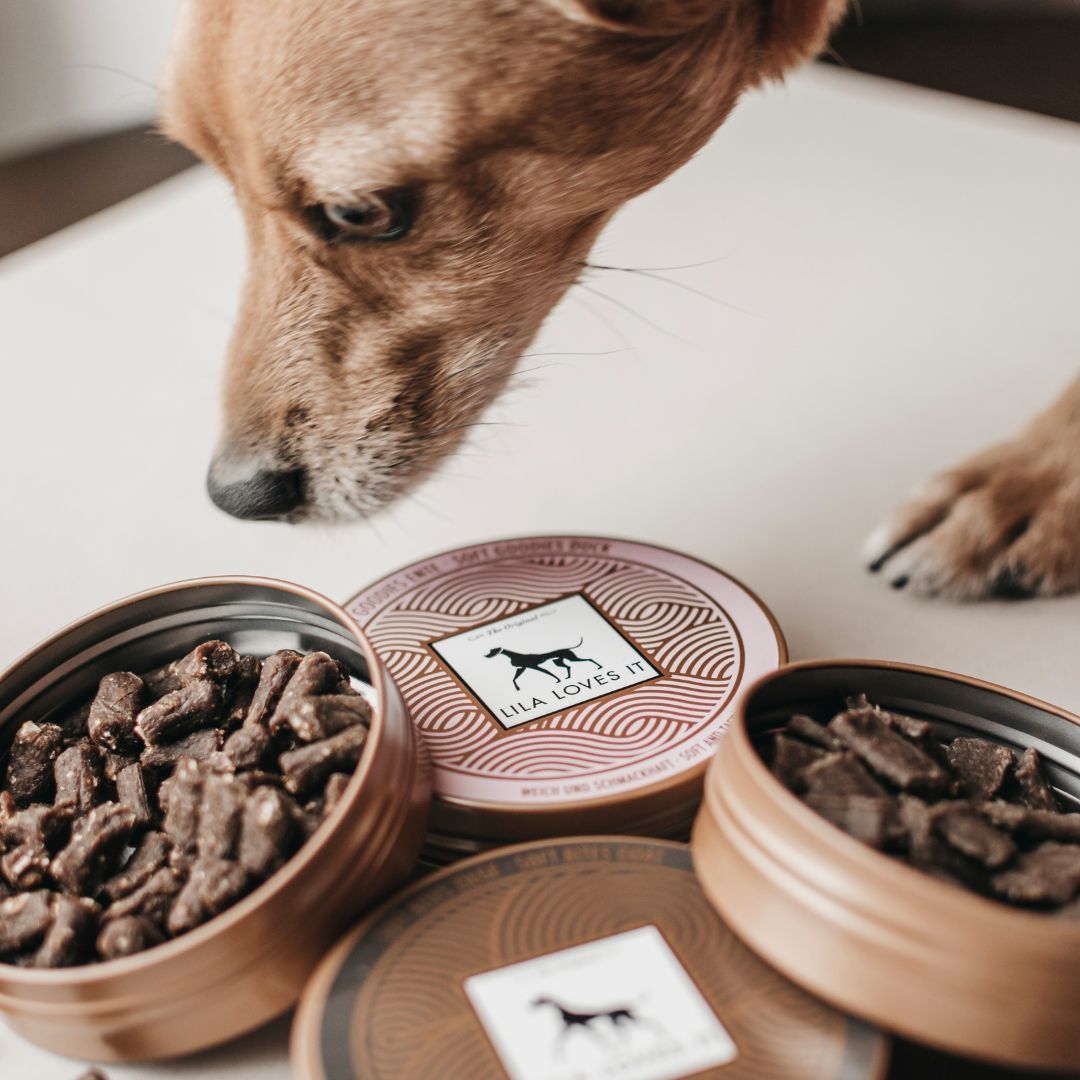 Geöffnete Dosen mit Snacks und Hund. Aufschrift "LILA LOVES IT". Verschiedene Dosen mit Snacks.