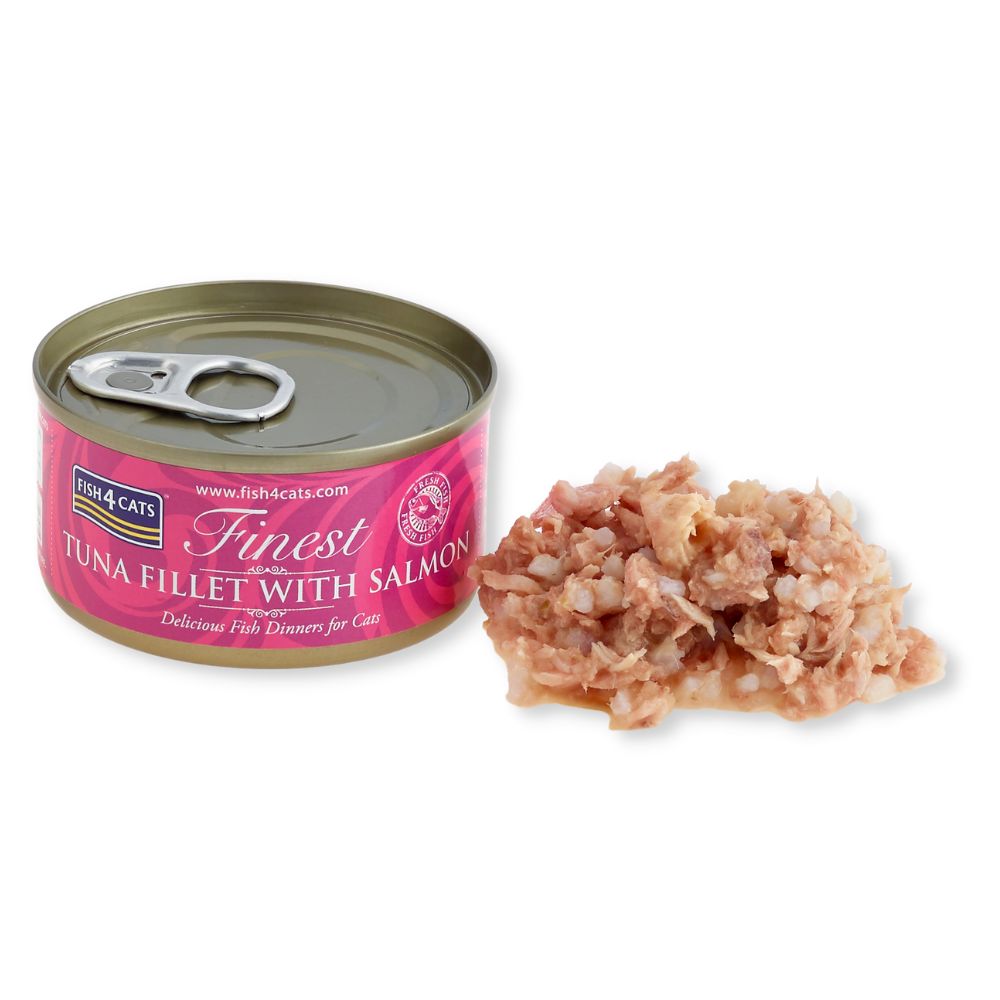 Dose Thunfischfilet mit Lachs und Portion daneben. Rosa Etikett mit Produktnamen. Geöffnete Dose.