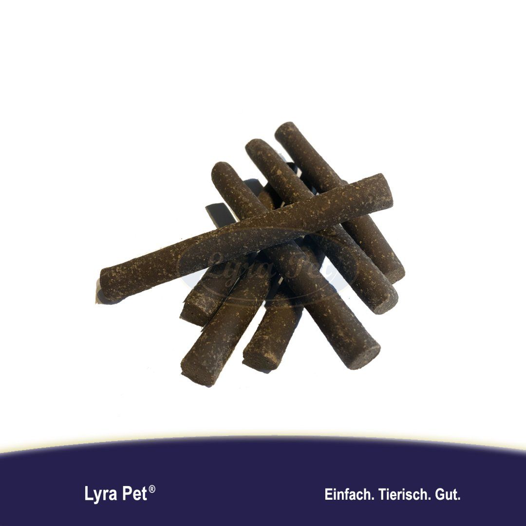 Lyra Pet® Hundesticks mit Insekten
